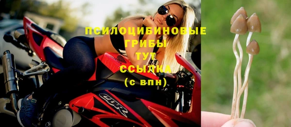 PSILOCYBIN Переславль-Залесский