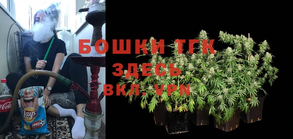 ECSTASY Пересвет