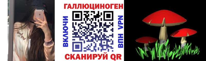 Купить где Асбест Псилоцибиновые грибы Cubensis